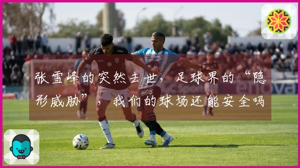 张雪峰的突然去世，足球界的“隐形威胁”，我们的球场还能安全吗？