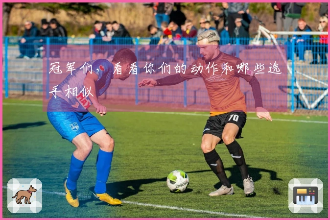 冠军们，看看你们的动作和哪些选手相似